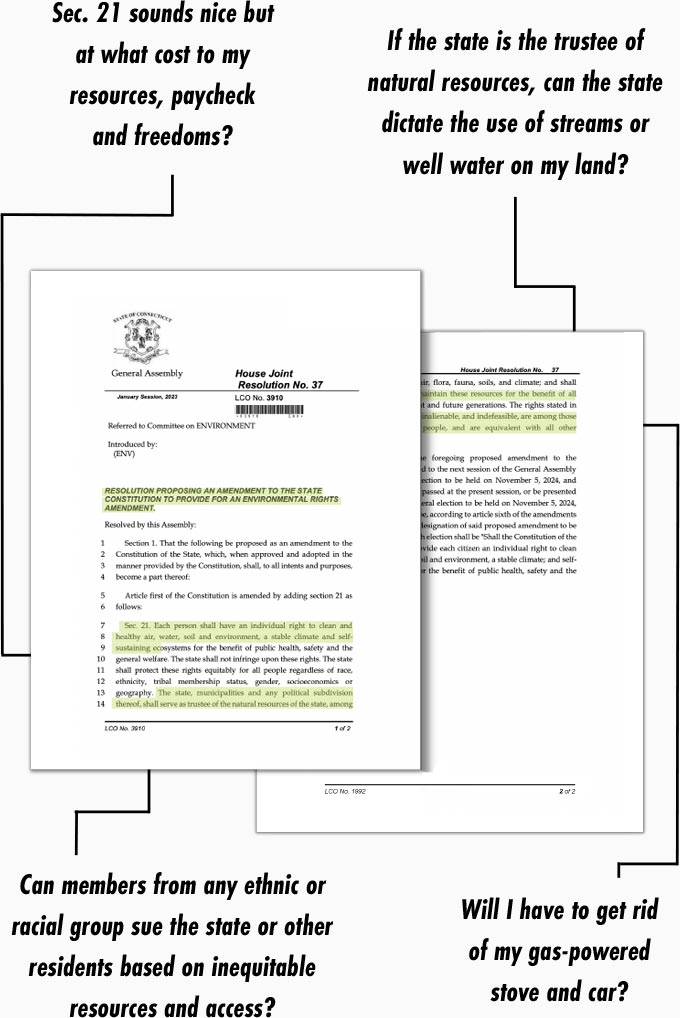Stop the Green Constitutional Amendment